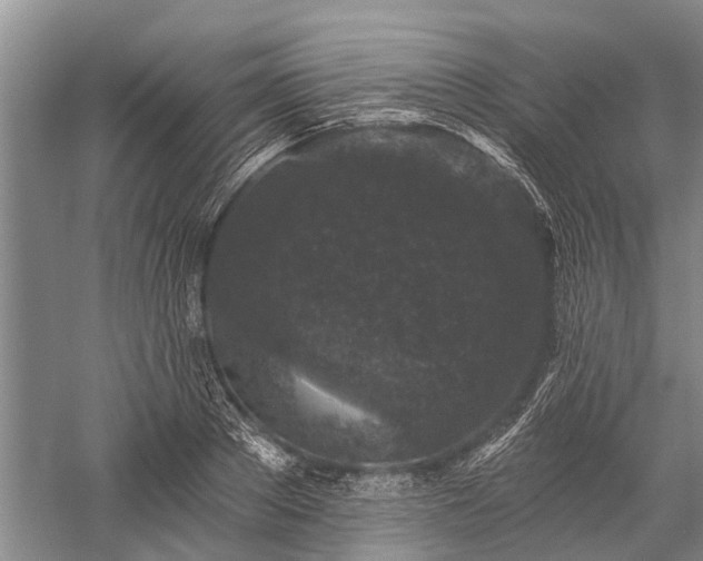 X0000059220889200510211507