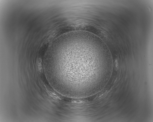 X0000059220963200510211505