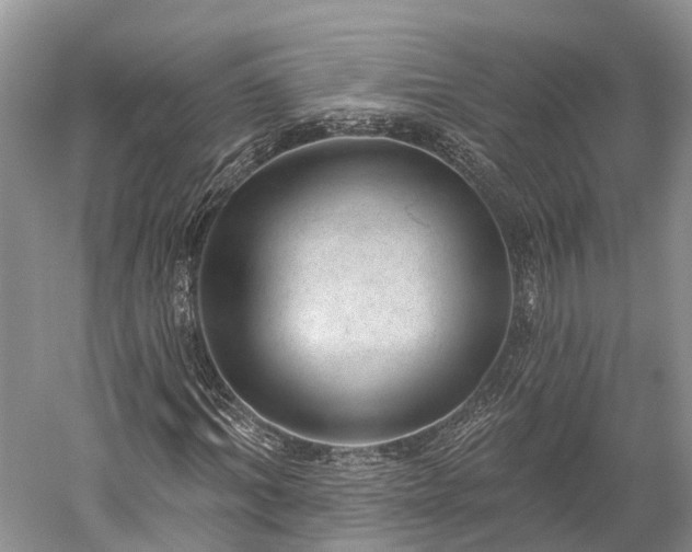 X0000059220964200510211505