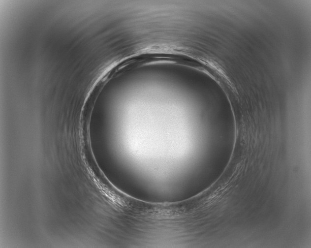 X0000059220976200510211505