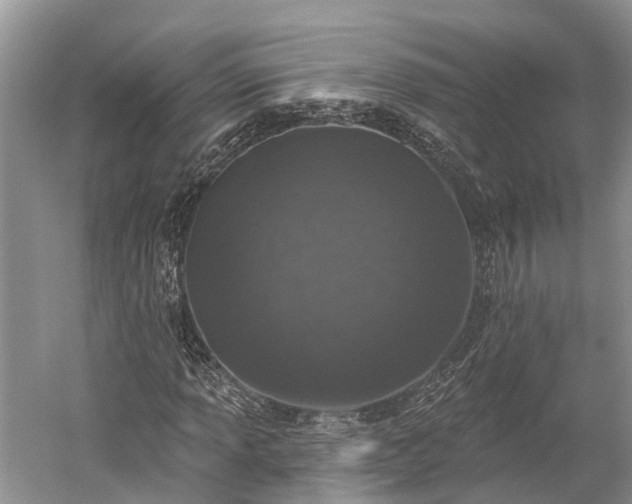 X0000059221013200510211504