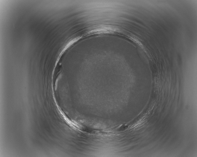 X0000059221034200510211504