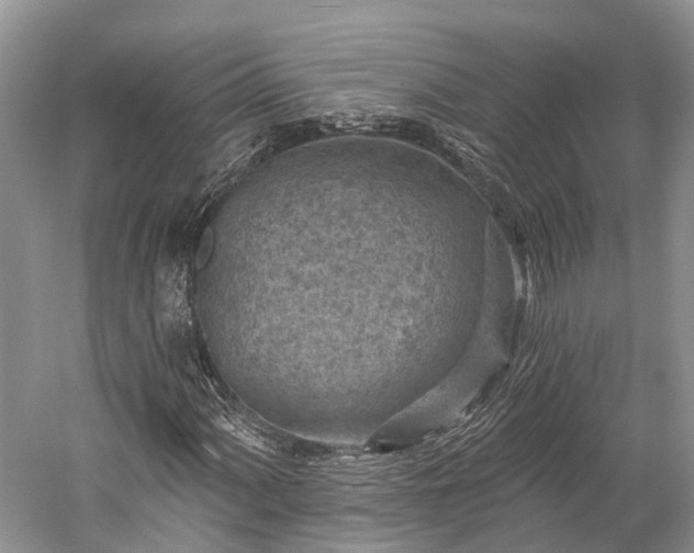 X0000059221060200510211504