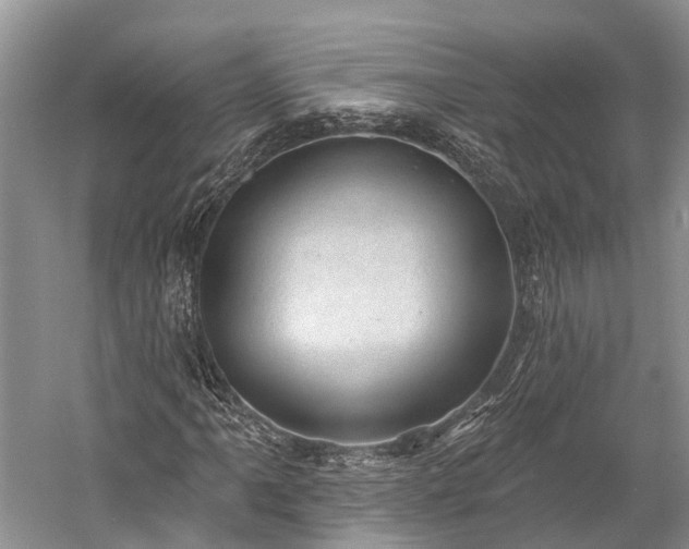 X0000059221061200510211504