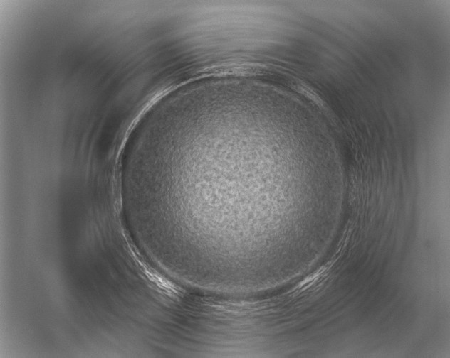 X0000059221075200510211504