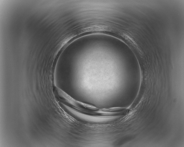 X0000059221081200510211503