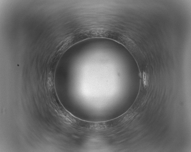 X0000059221107200510211502