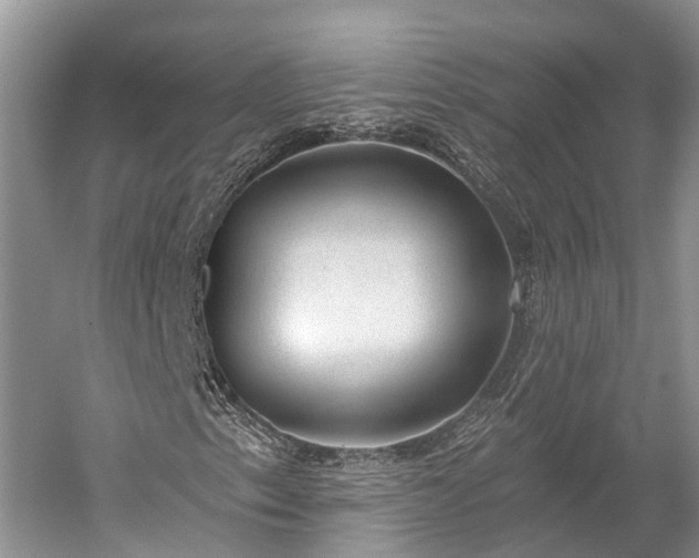 X0000059221153200510211502