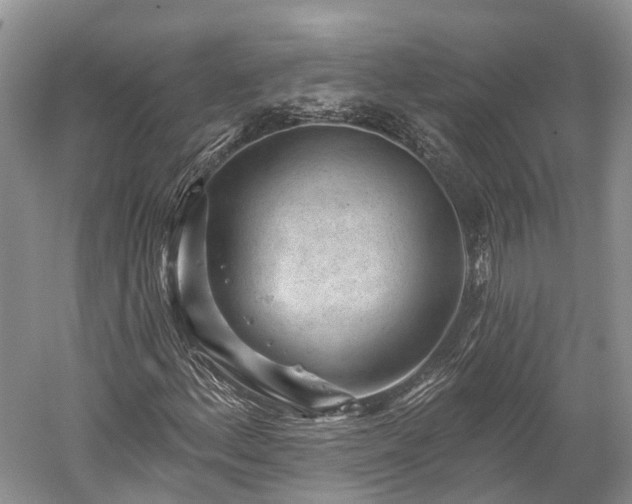 X0000059221156200510211502