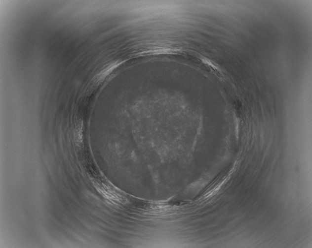 X0000059221161200510211502