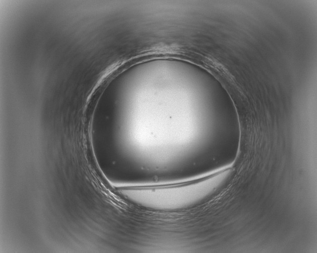 X0000059221168200510211502