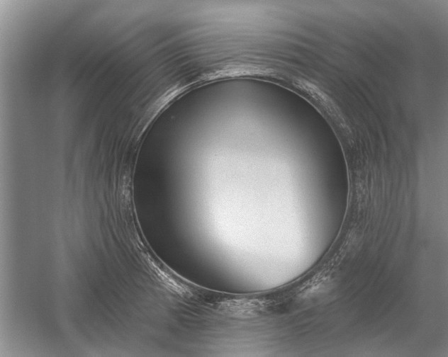 X0000059221185200510211502