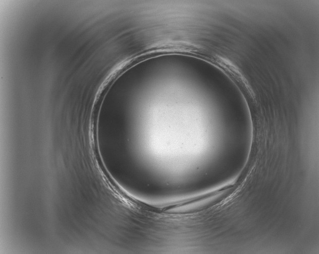 X0000059221188200510211502