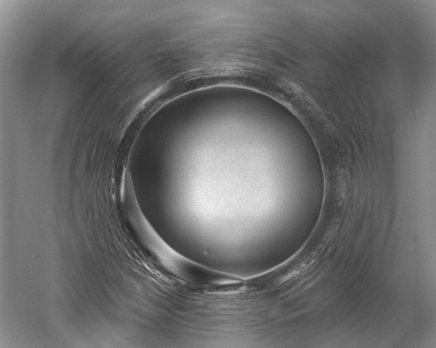 X0000059221210200510211501