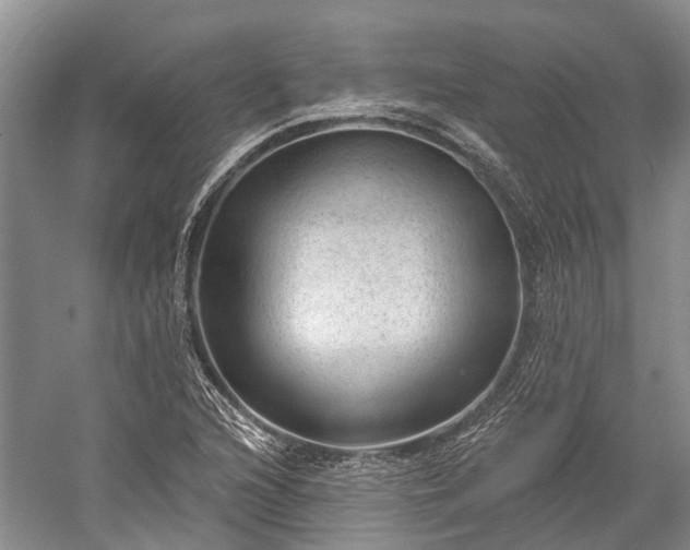 X0000059221216200510211501