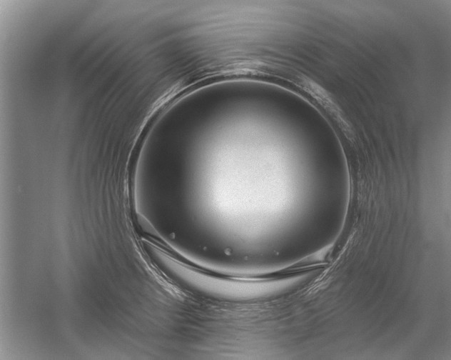 X0000059221234200510211501