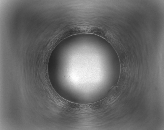 X0000059221249200510211501