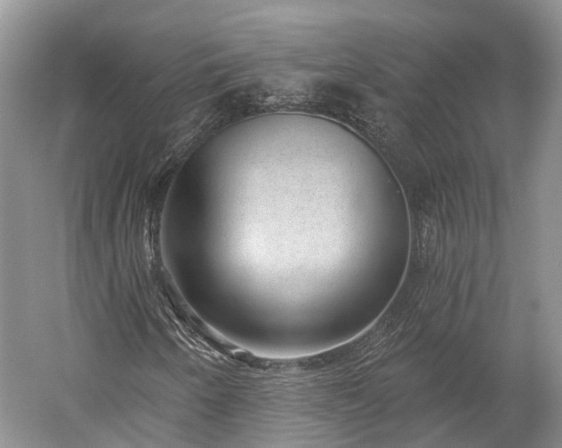 X0000059221250200510211501