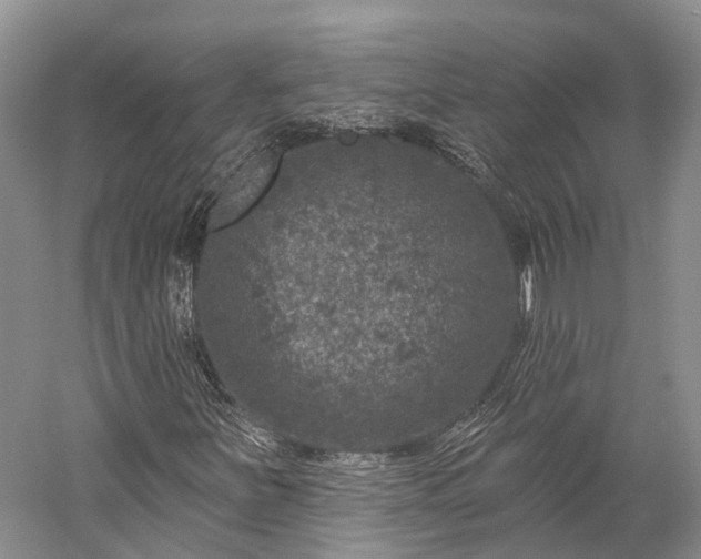 X0000059221251200510211501
