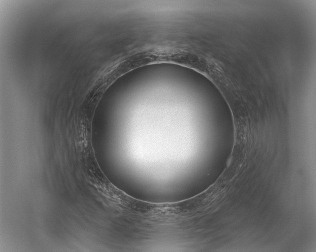 X0000059221253200510211501