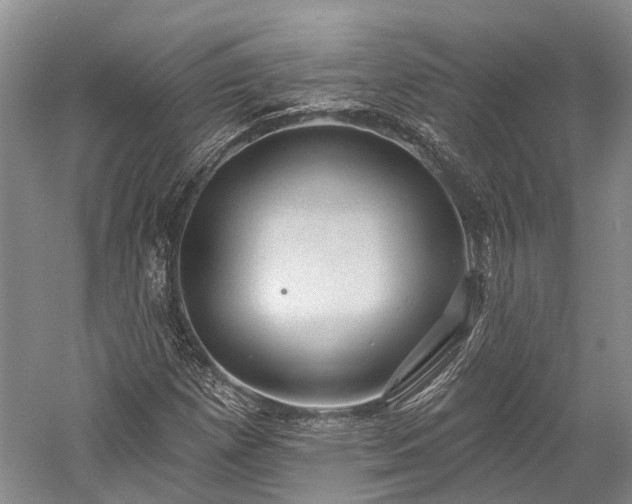X0000059221257200510211500