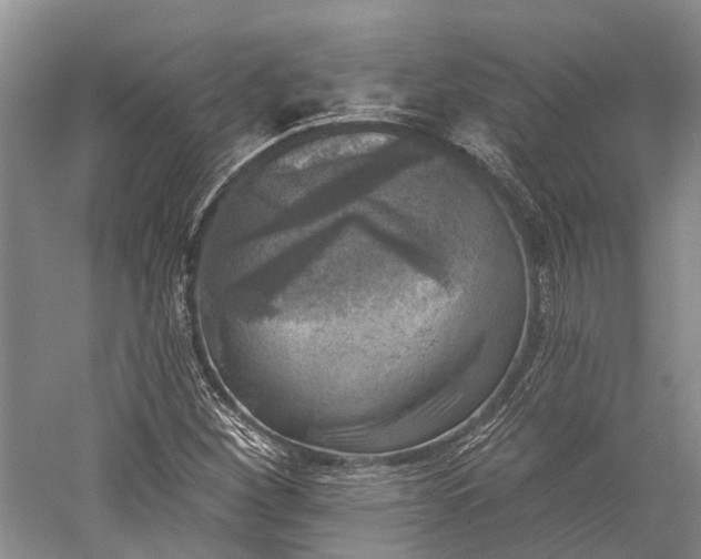 X0000059221260200510211500