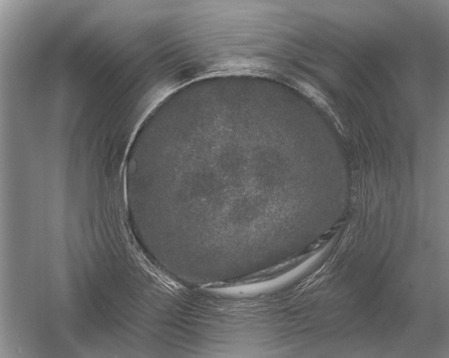 X0000059221275200510211500