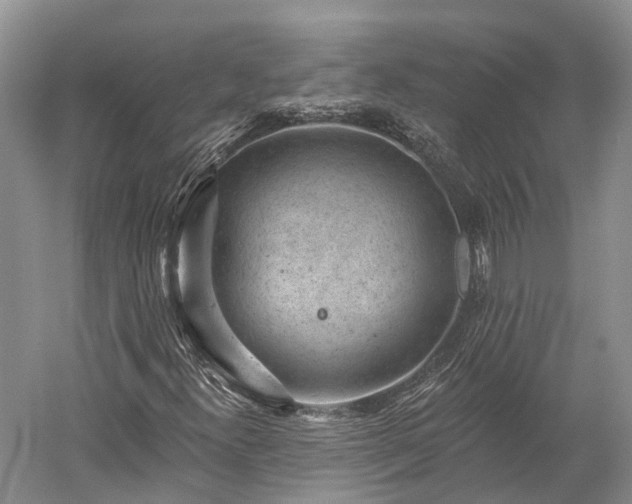 X0000059221300200510211459