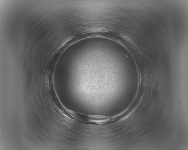 X0000059221305200510211459