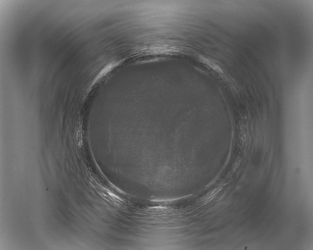 X0000059221306200510211459