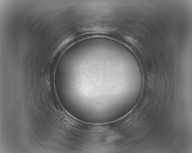 X0000059221307200510211459