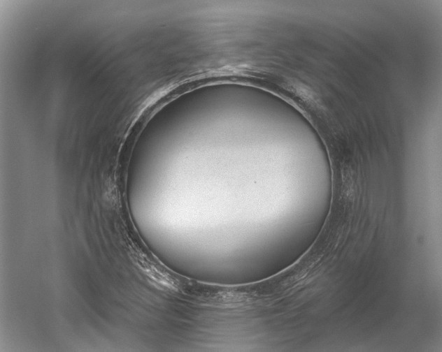 X0000059221308200510211459