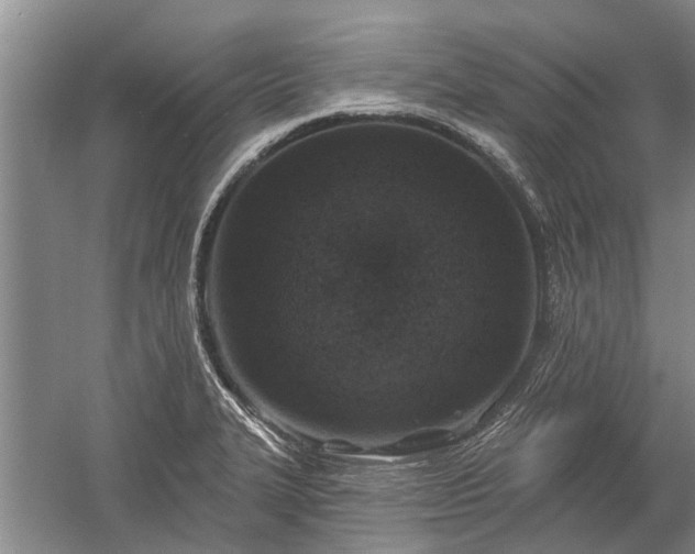 X0000059221327200510211459