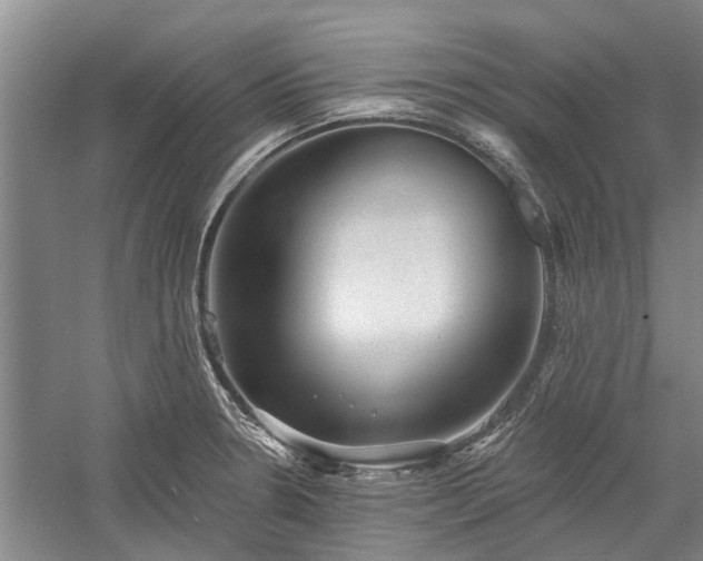 X0000059221330200510211500
