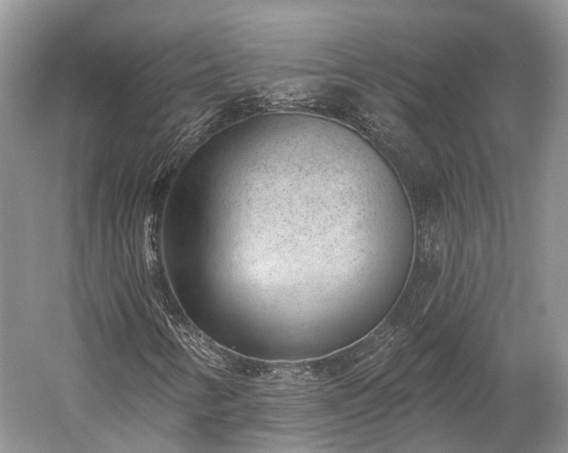 X0000059221346200510211459