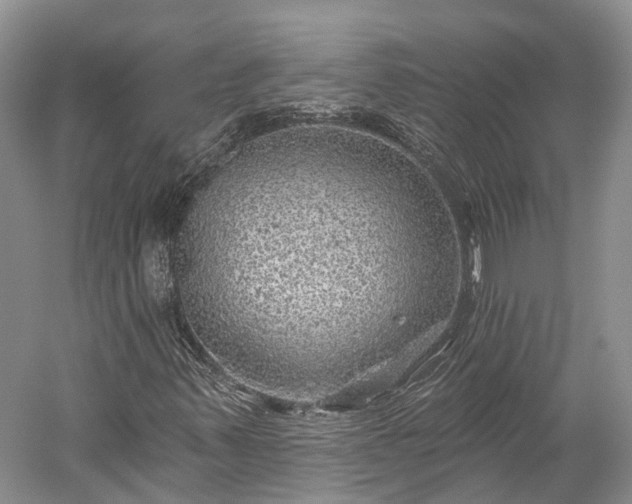 X0000059221347200510211459