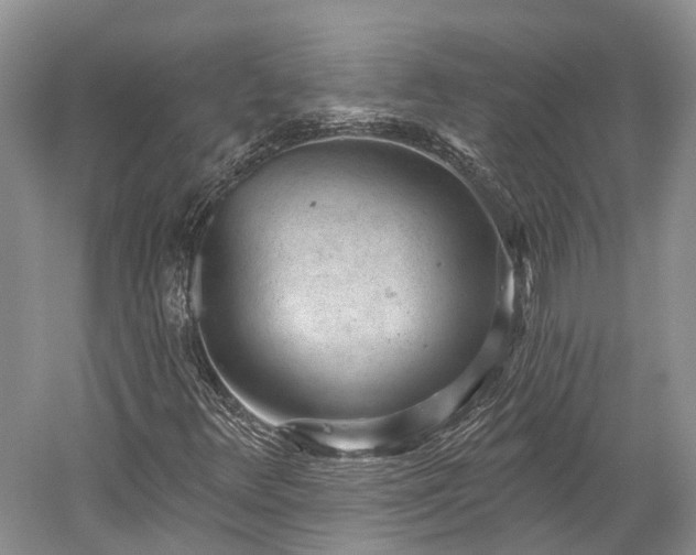 X0000059221348200510211459