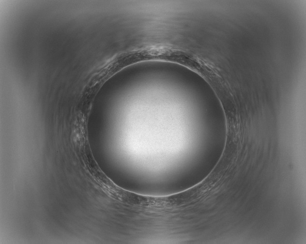 X0000059221349200510211459
