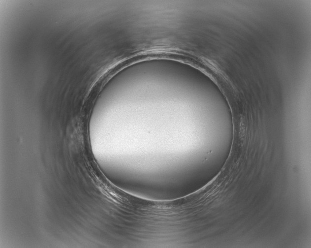 X0000059221356200510211459