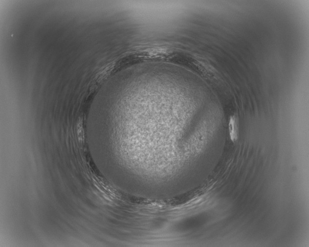 X0000059221395200510211457