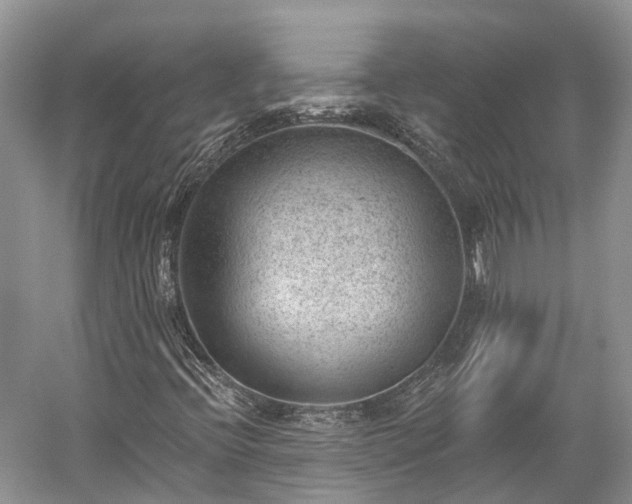 X0000059221396200510211457
