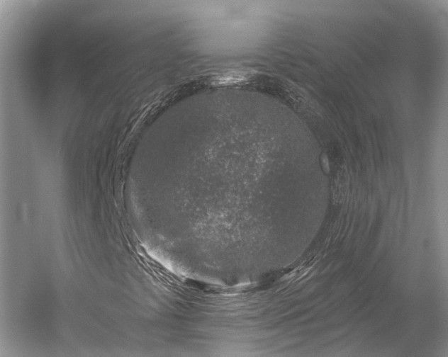 X0000059221441200510211457