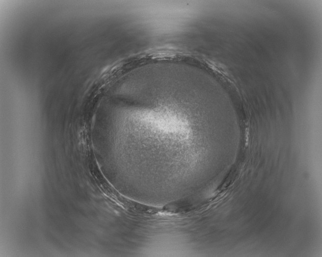 X0000059221445200510211457