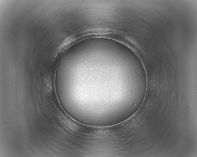 X0000059221451200510211457
