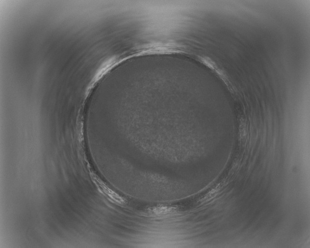 X0000059221459200510211457