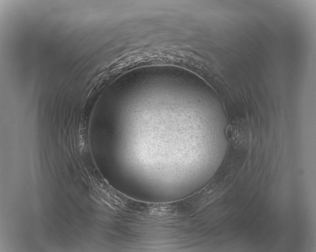 X0000059221490200510211456