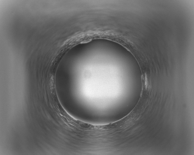 X0000059221492200510211456