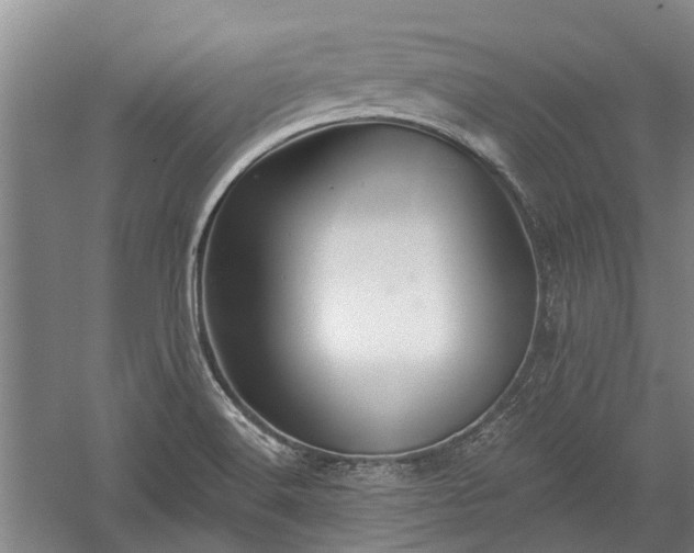 X0000059221516200510211456