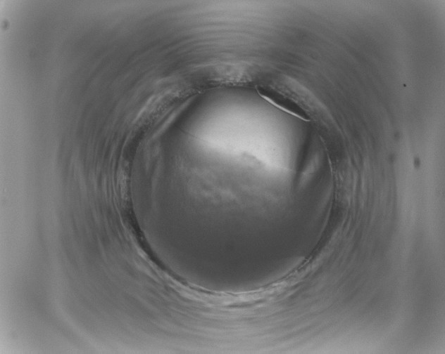 X0000059220035200510281851