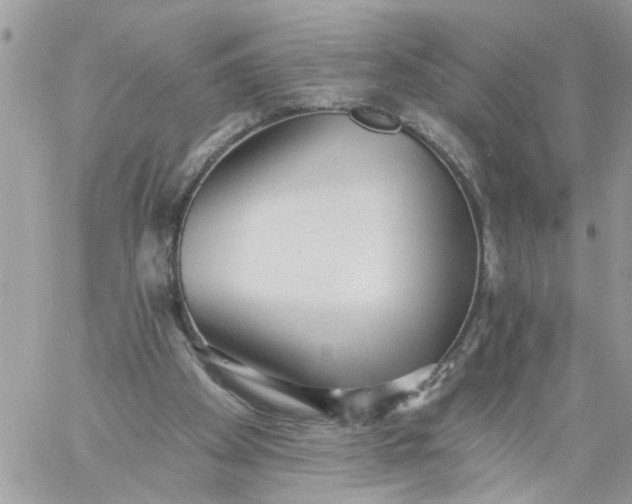X0000059220105200510281850
